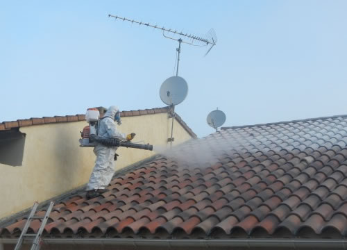 Nettoyage et entretien de toiture à Toulouse dans le 31